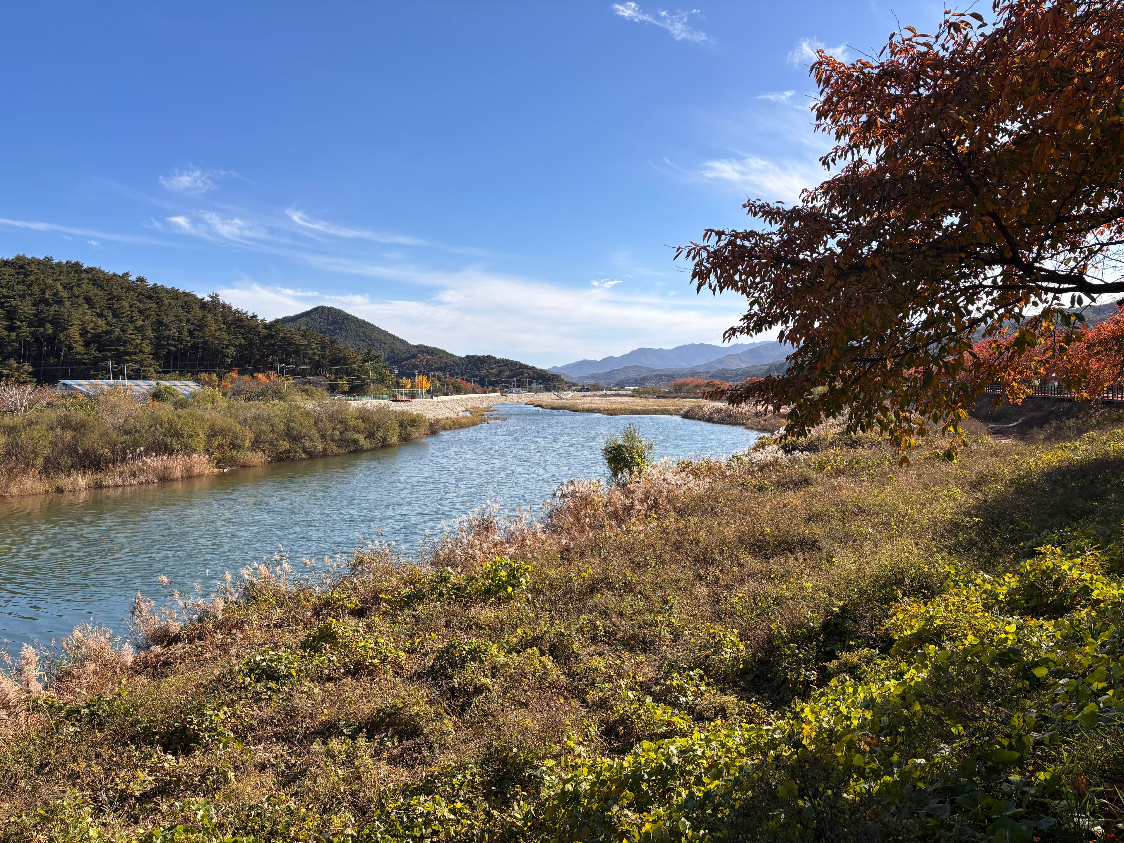 Samcheok city article